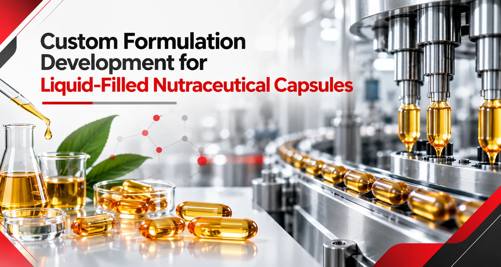 Custom Formulation Development for Liquid-Filled Nutraceutical Capsules - AHCC Pvt. Ltd.