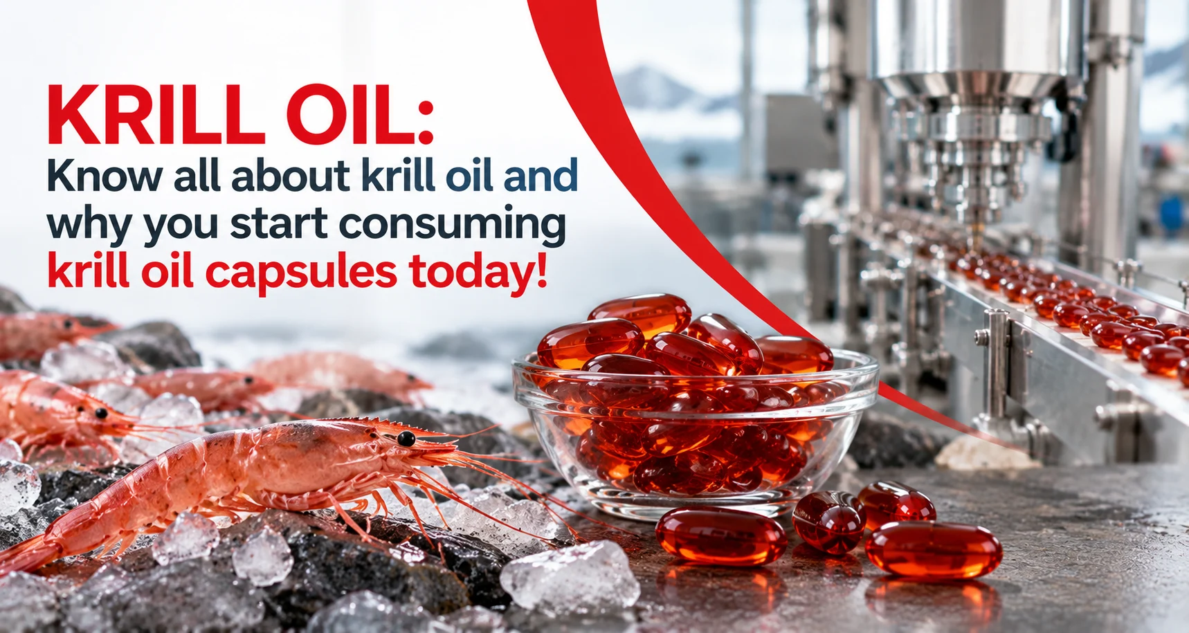 Know all about krill oil and why you start consuming krill oil capsules today! - AHCC Pvt. Ltd.