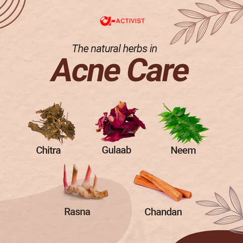 Activist Acne Care Capsules - Certified Quality and Secondary Packaging