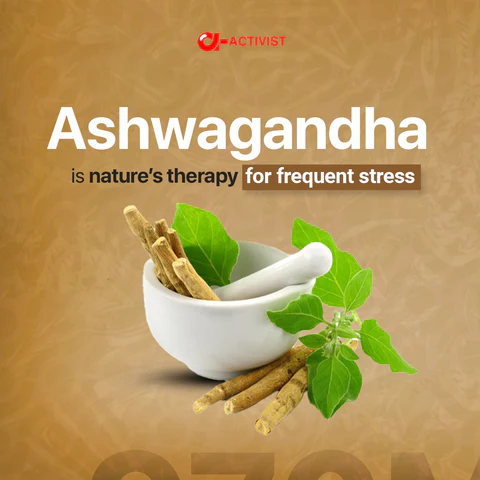 Activist Ashwagandha Tablets - Certified Quality and Secondary Packaging