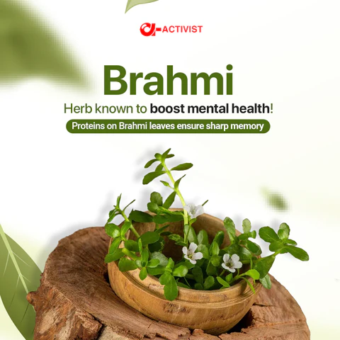 Activist Bramhi Tablets - Certified Quality and Secondary Packaging