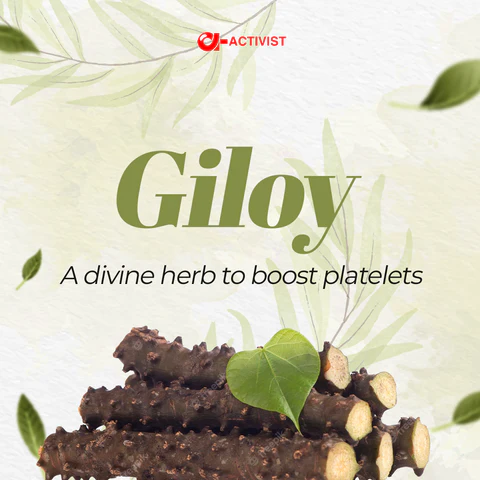 Activist Giloy Tablets - Certified Quality and Secondary Packaging