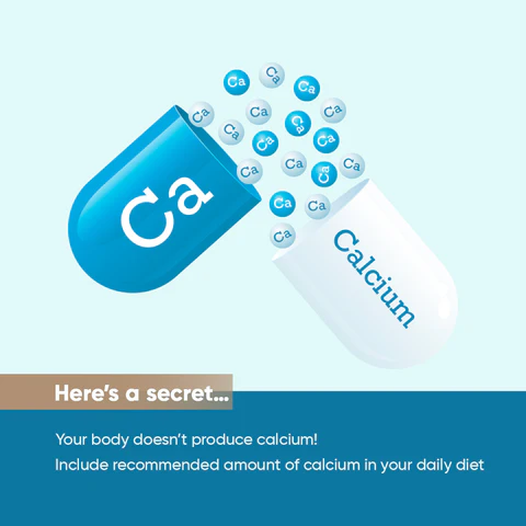 Activist-Cal Calcium Tablets - 30 Tablets - Nutritional Information and Active Ingredients